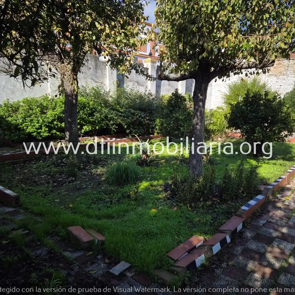 Jardín de Casa o chalet en venta en La Palma del Condado con Terraza