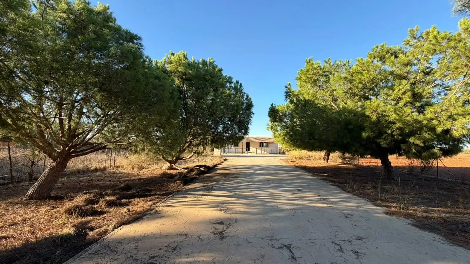 Vista exterior de Finca rústica en venda en Cartagena