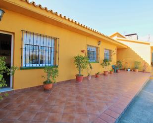 Vista exterior de Casa o xalet de lloguer en Málaga Capital amb Aire condicionat, Jardí privat i Moblat