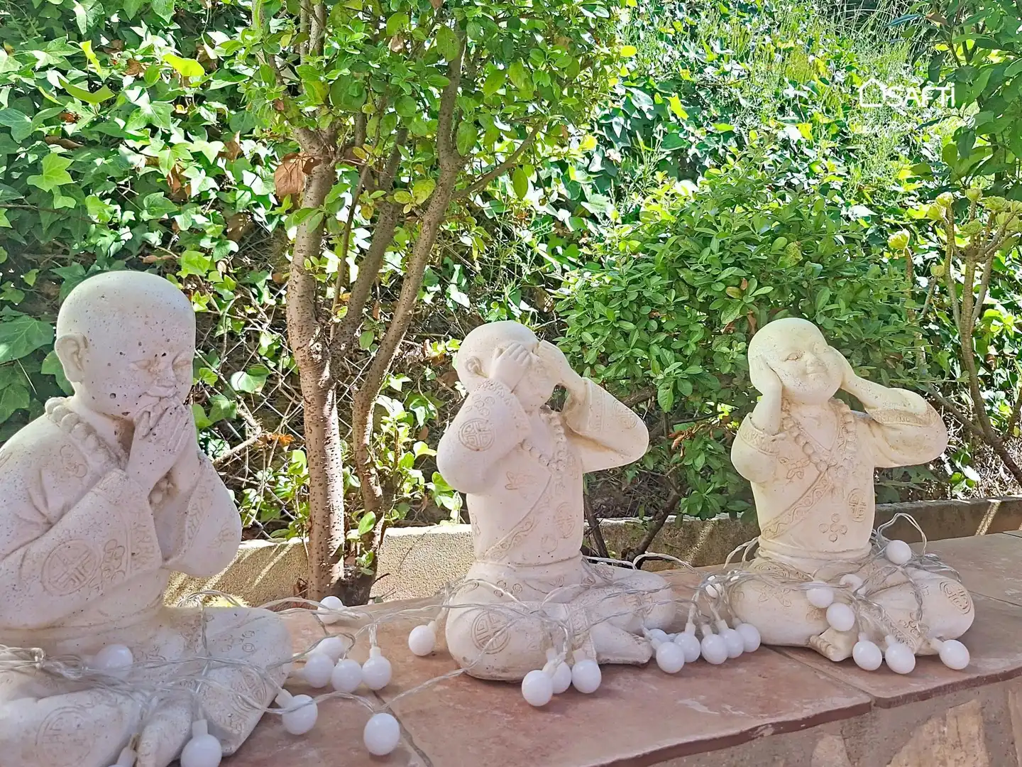 Jardí de Casa o xalet en venda en Ador amb Terrassa i Piscina