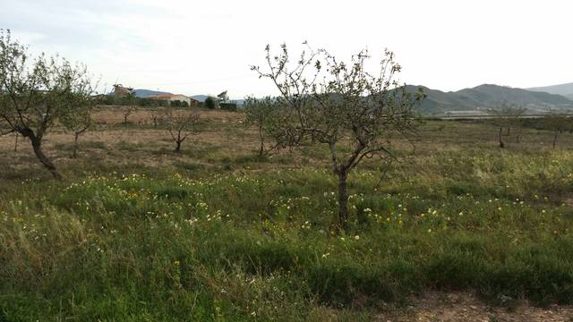 Terreno en Venta en La Magdalena - Molinos Marfagones