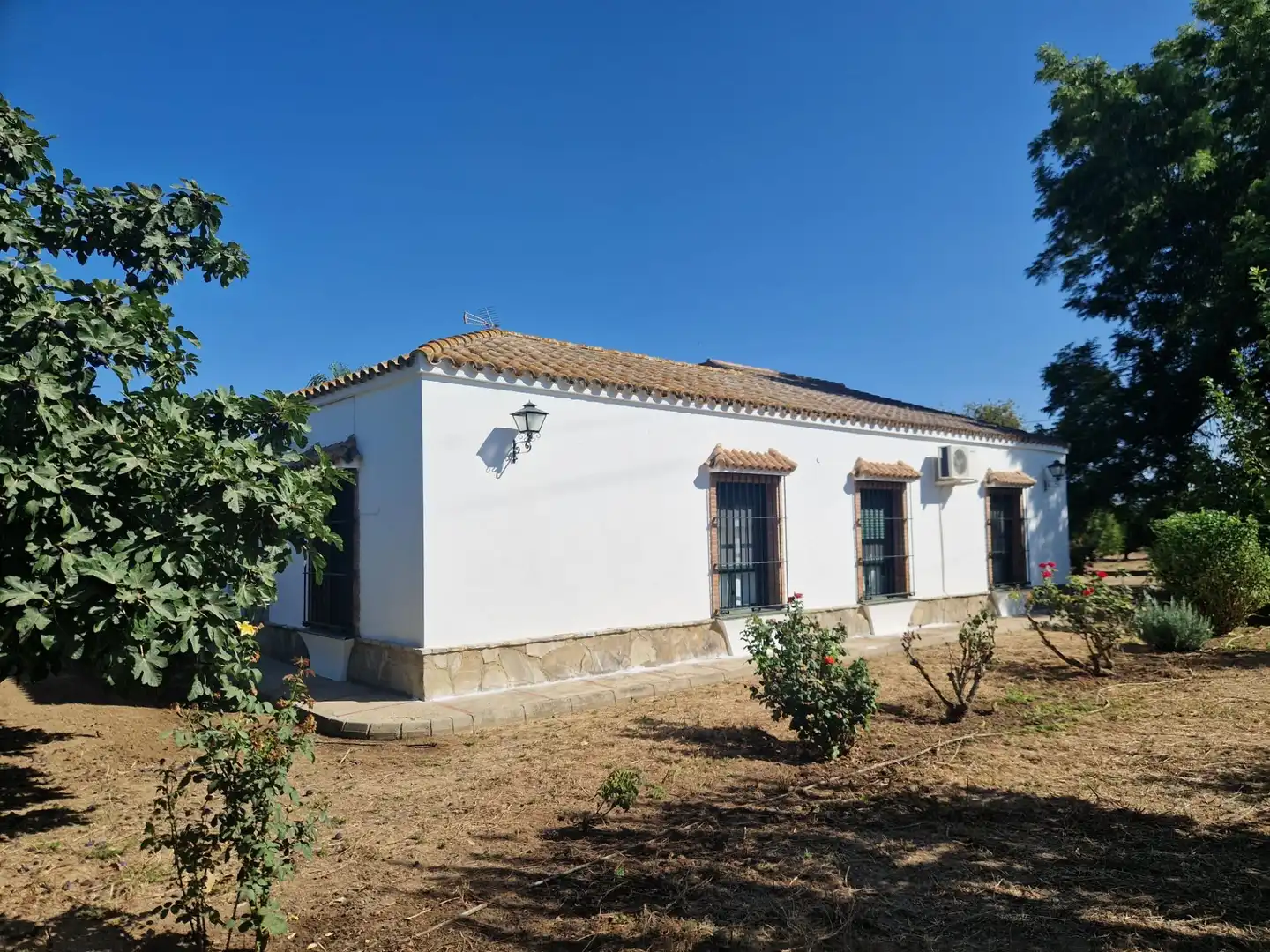 Vista exterior de Finca rústica en venta en Jerez de la Frontera con Aire acondicionado, Calefacción y Piscina