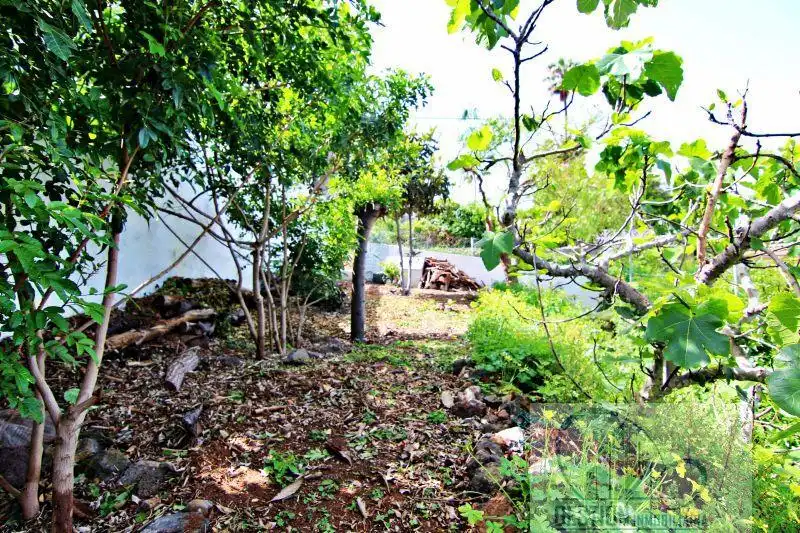 Jardín de Casa o chalet en venta en Tacoronte con Terraza y Trastero