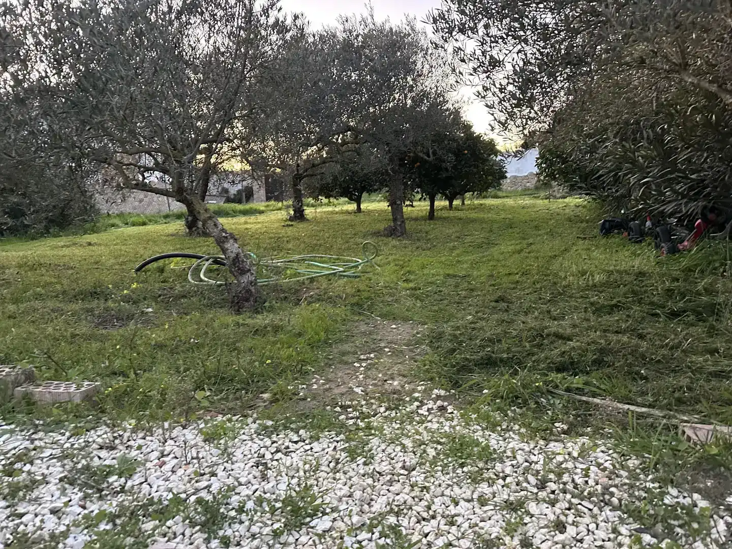 Finca rústica en venda a Calle Benalup-medina, 3, Medina Sidonia