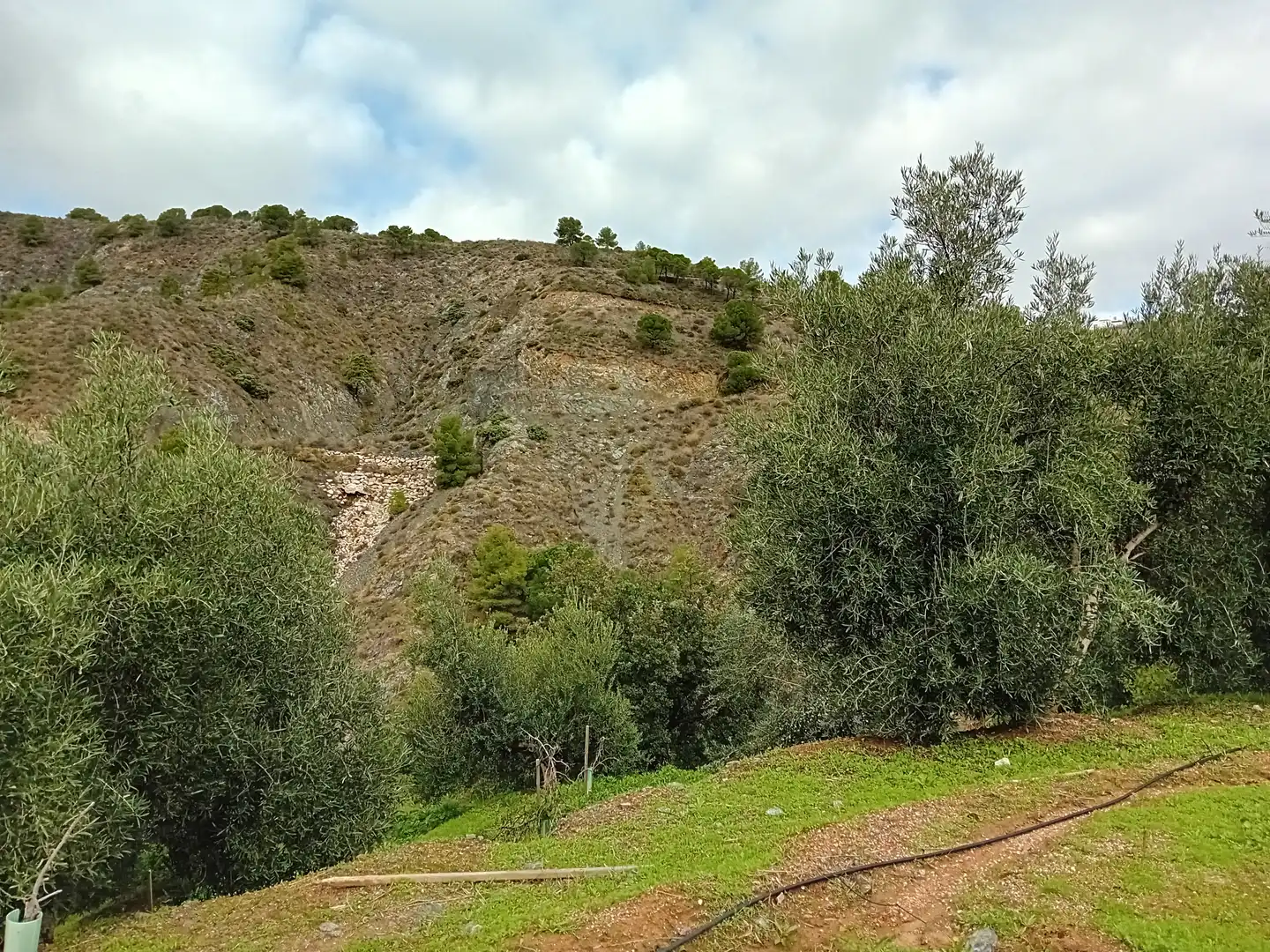 Casa rústica amb jardí en venda a Yunquera, imagen 12
