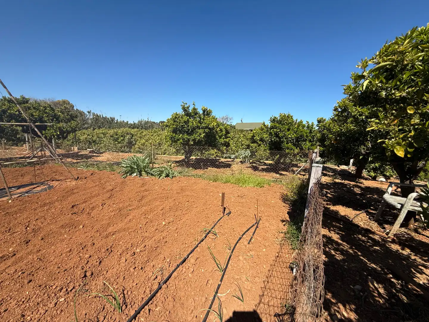 Terreno rustico in vendita a Centro Urbano, imagen 21