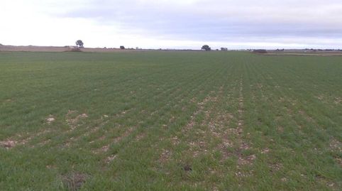 finca en venta 9 has. labor regadío en Daimiel (C.Real), immagine 5