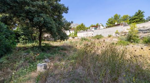 Foto 5 de Terreno en venta en Cala Sant Vicenç, Pollença