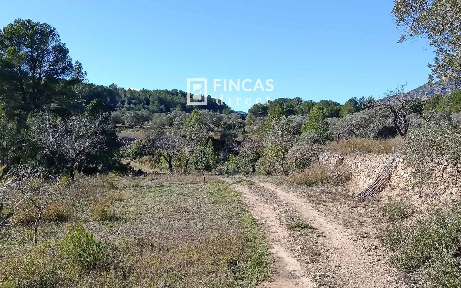 Finca rústica en venta en Miravet