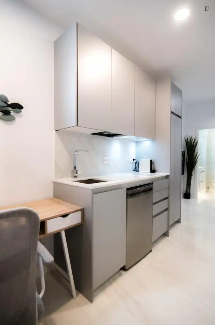 Estudio de alquiler en Natzaret
