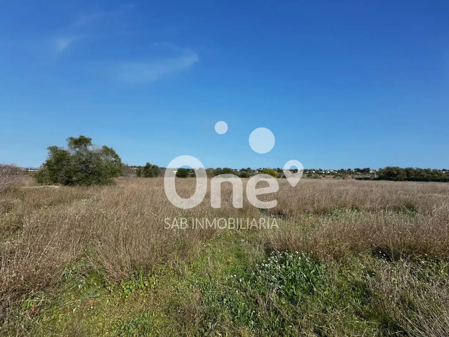 Terrain rustique à vendre à San Antonio de Benagéber, imagen 10