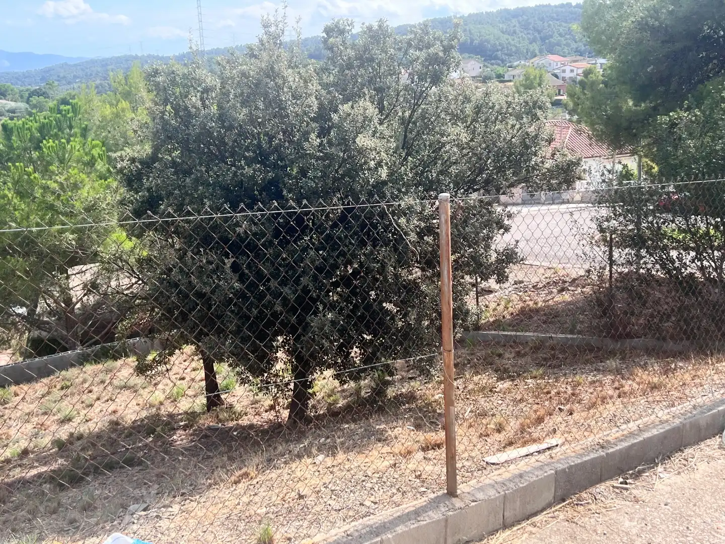 Terreno rústico en venta en Carrer Serra Cavallera 2, imagen 2
