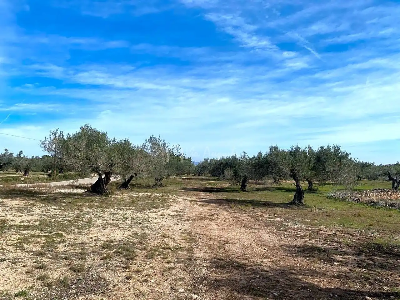 Terreno rustico in vendita a Planas, imagen 8