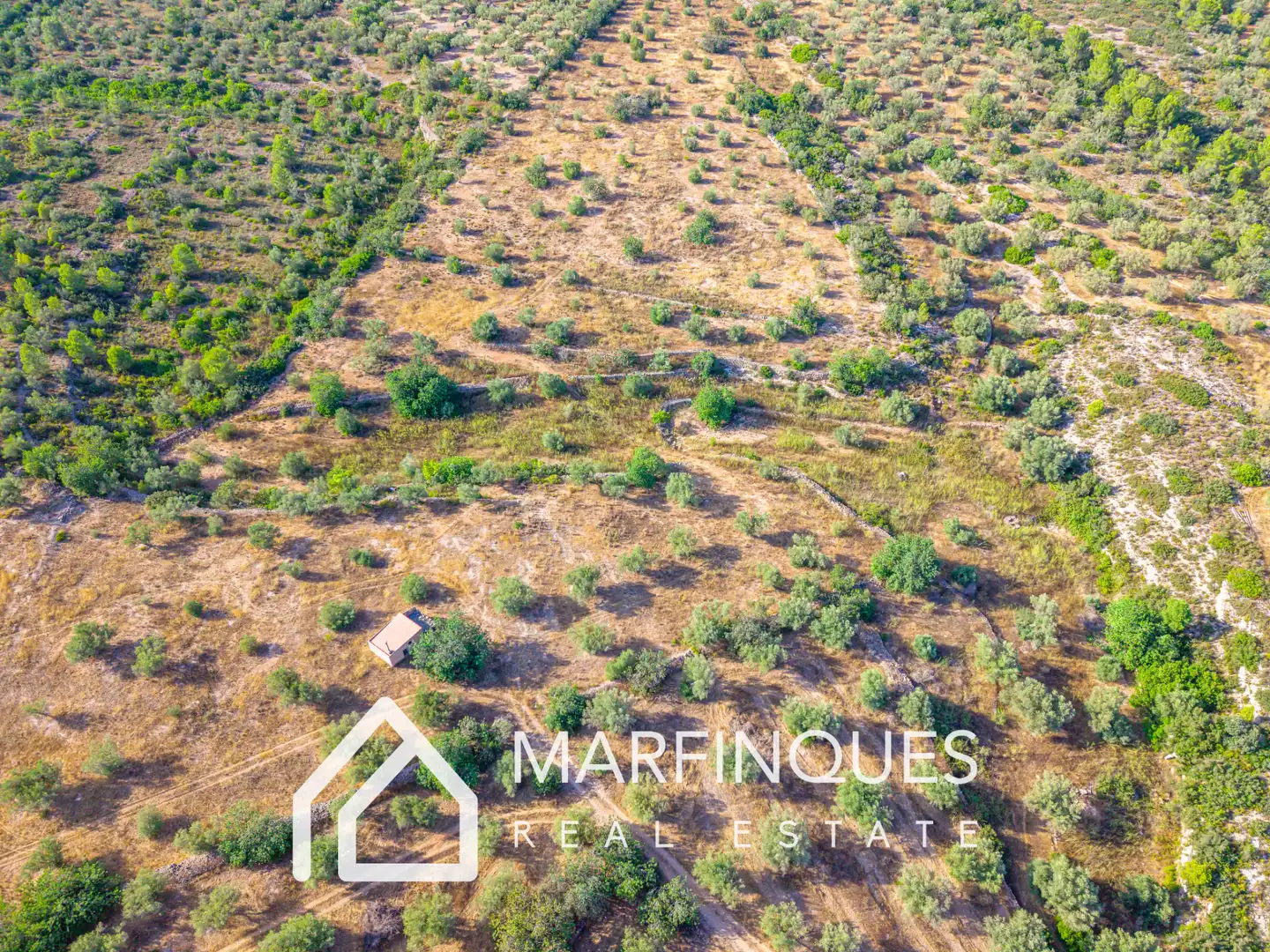 Terreno rustico in vendita a San Rafael del Río, imagen 4