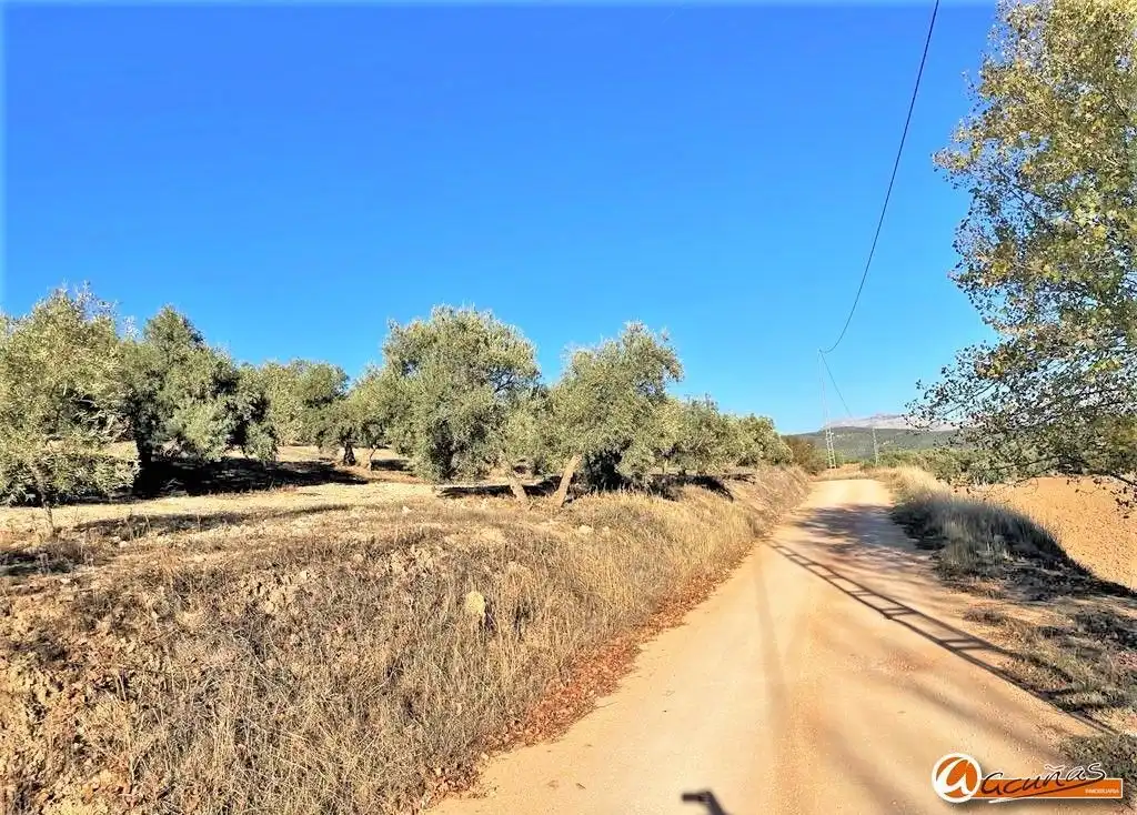 Land for sale in Villanueva del Rosario