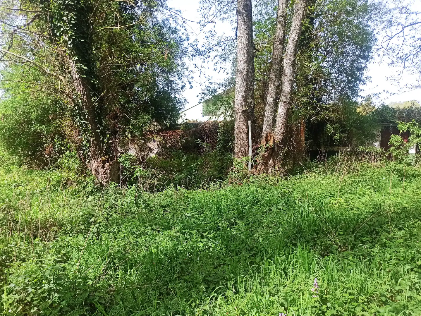 Terreni e lotti in vendita a Parroquias del Este, imagen 2