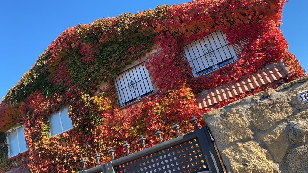 Exterior view of House or chalet for sale in El Espinar  with Heating, Private garden and Parquet flooring