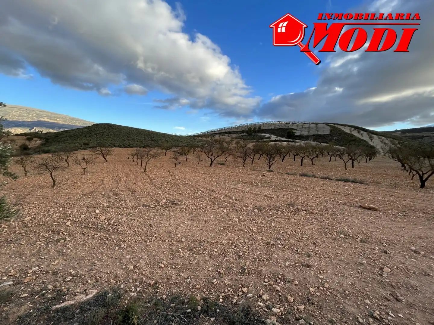 Terrenys i solars en venda a Villamena, imagen 5