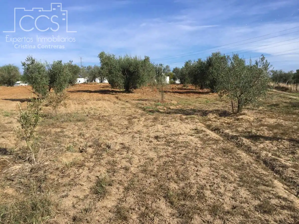 Country house for sale in Almonte ciudad, imagen 9