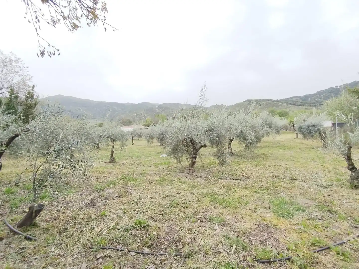 Terreni e lotti in vendita a Carretera Cenes de la Vega, imagen 18