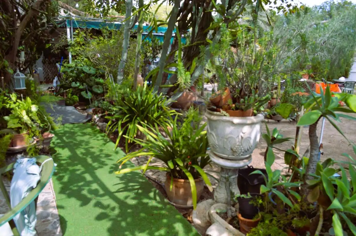 Jardí de Casa o xalet en venda en Orihuela amb Aire condicionat, Calefacció i Jardí privat