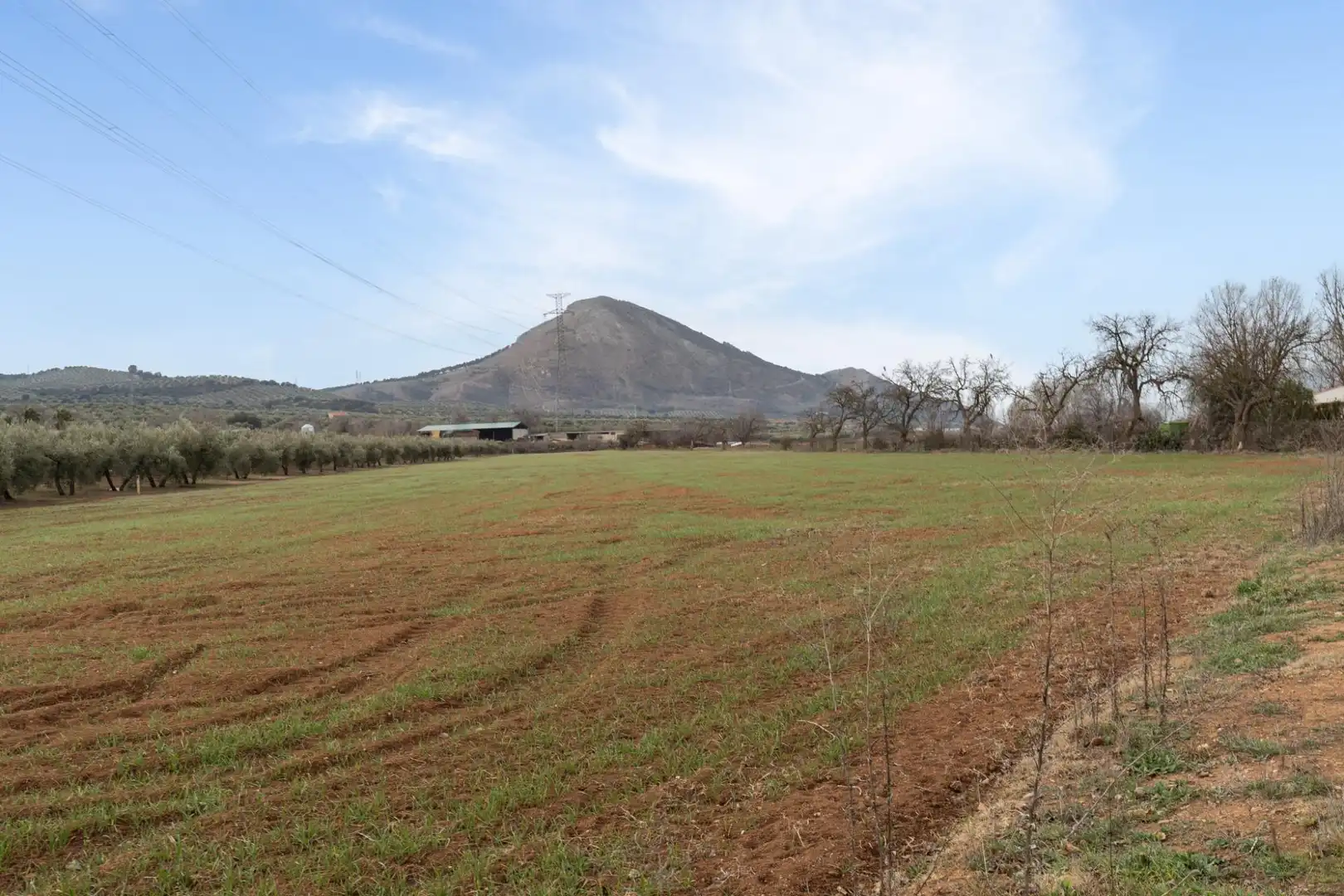 Terrenys i solars en venda a Polígono 23 Parcela 63 LA ZANJA. ALBOLOTE (GRANAD 23, imagen 33