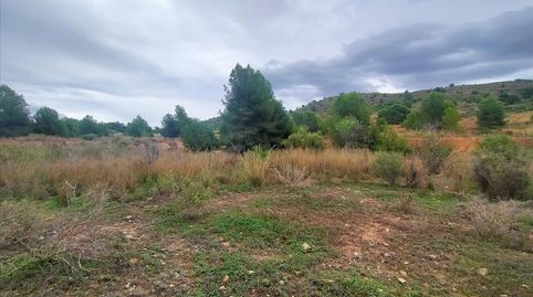 Foto 5 de Residencial en venda a Platja de Torres, Villajoyosa / La Vila Joiosa