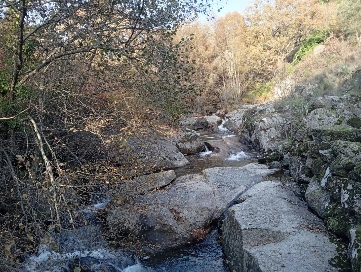 Terreni e lotti in vendita a Viandar de la Vera, imagen 27