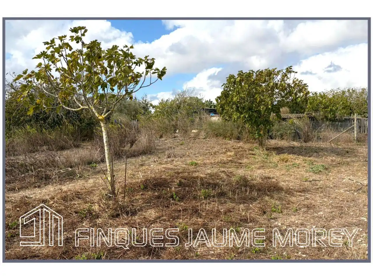 Finca rústica en venta en Maria de la Salut con Jardín privado