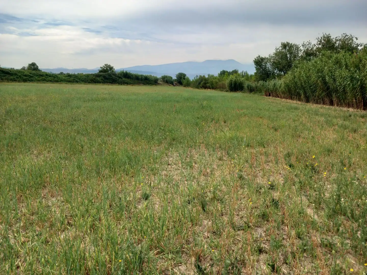 Rural land for sale in Avenida de la Paz 73, imagen 3