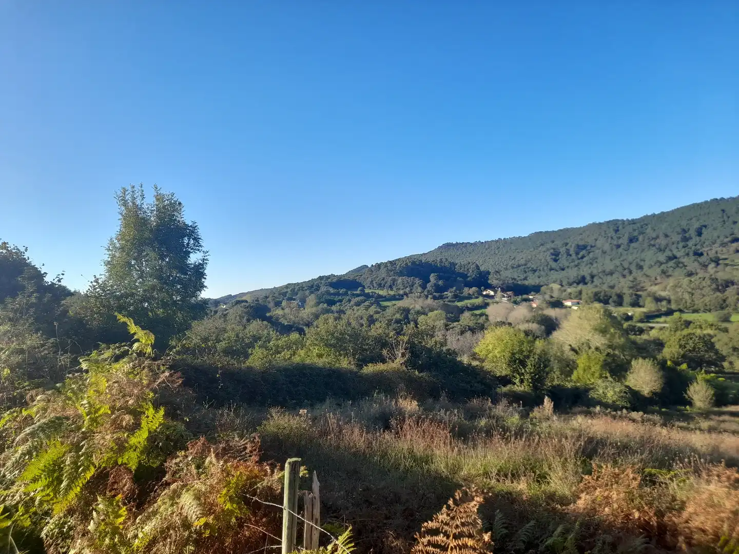 Terreny rústic en venda a Lemoiz