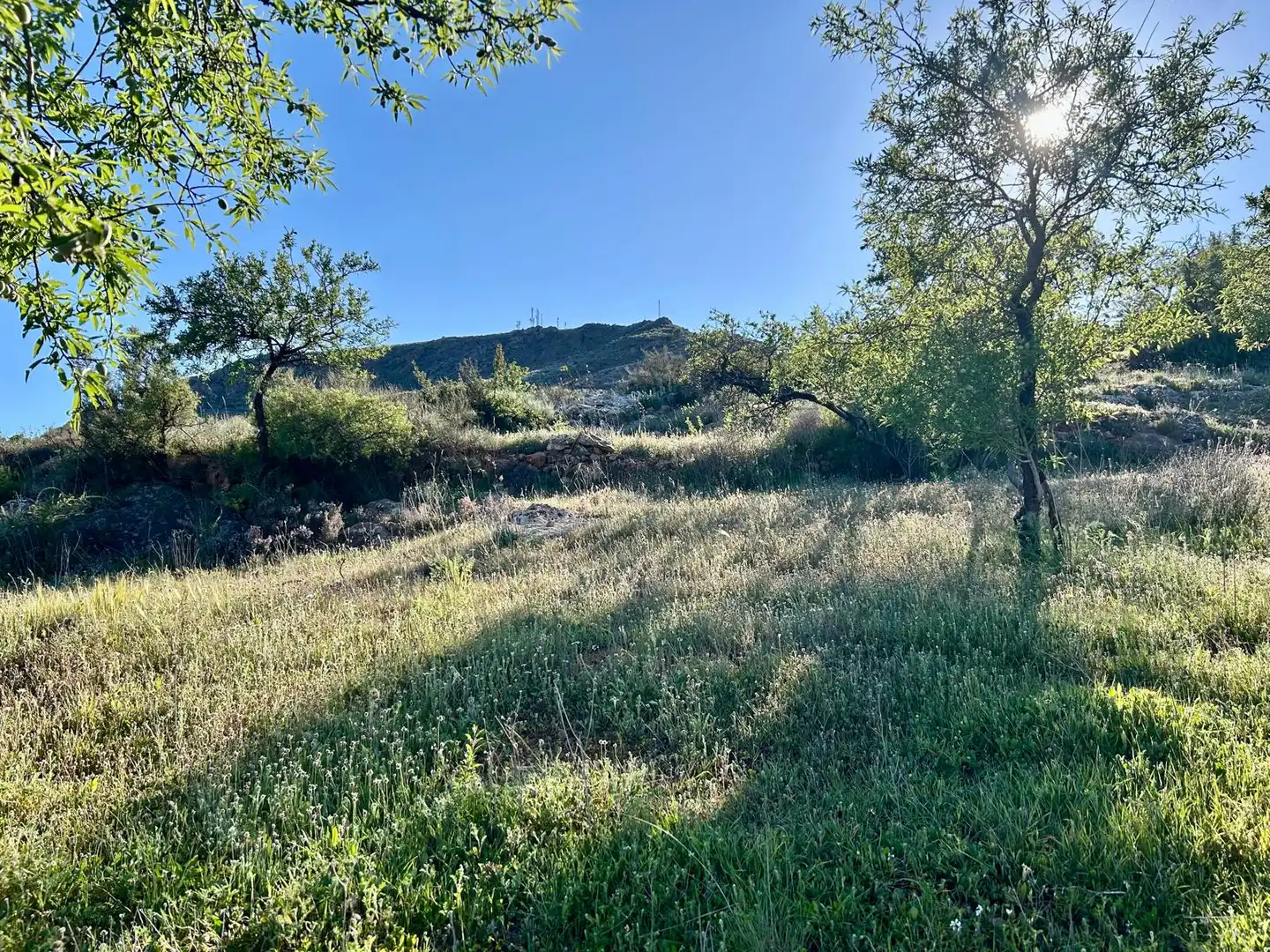 Terreno en venta en Felix