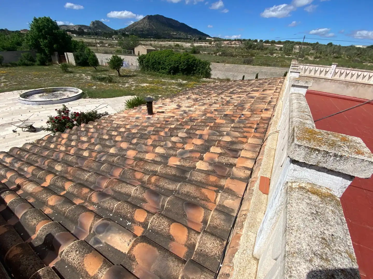 Vista exterior de Finca rústica en venta en Sax con Aire acondicionado, Calefacción y Jardín privado