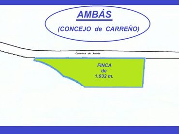 Terreno rústico en venta en Carreño