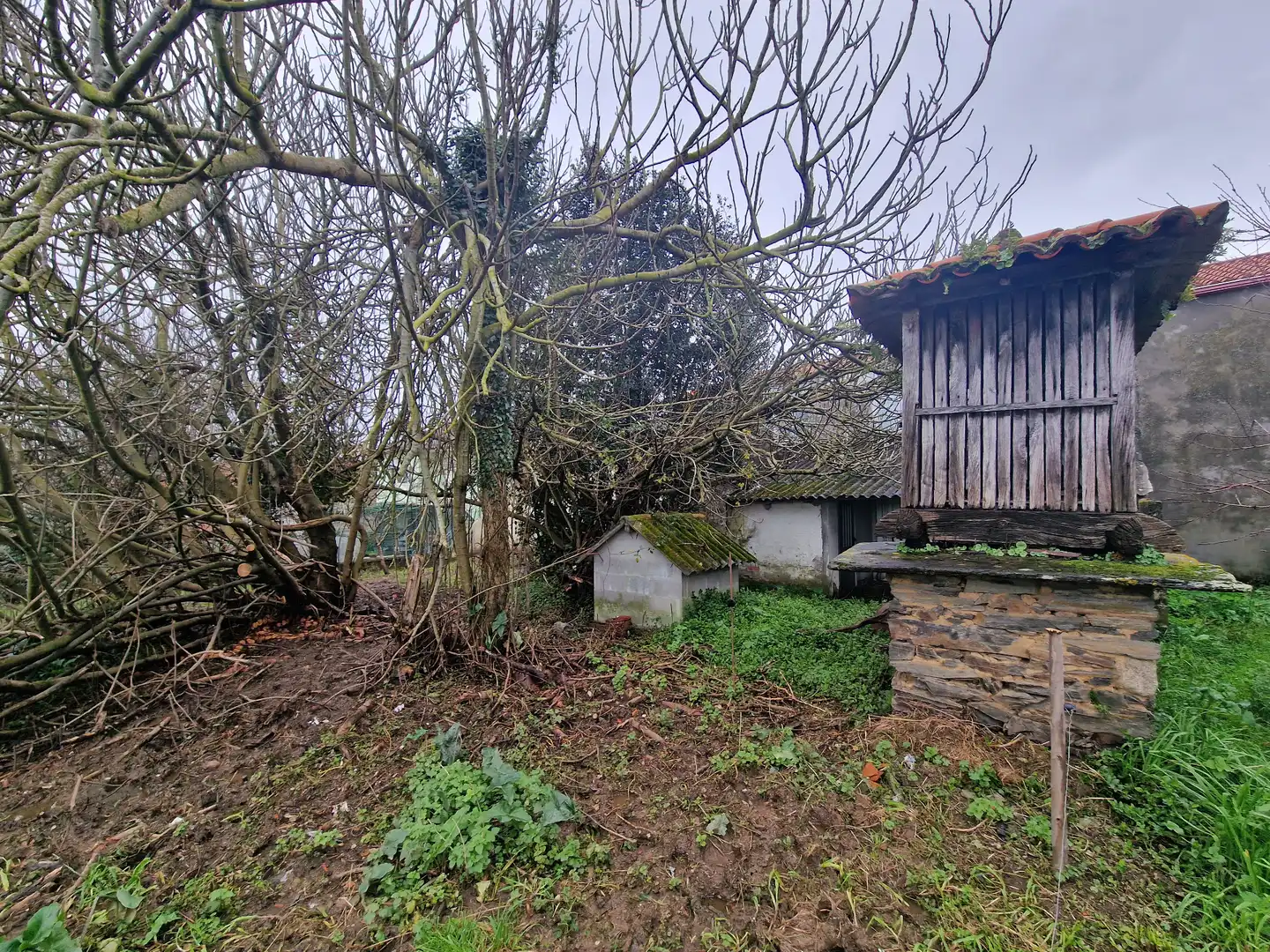 Maison avec jardin à vendre à Aldea Pazos, imagen 19