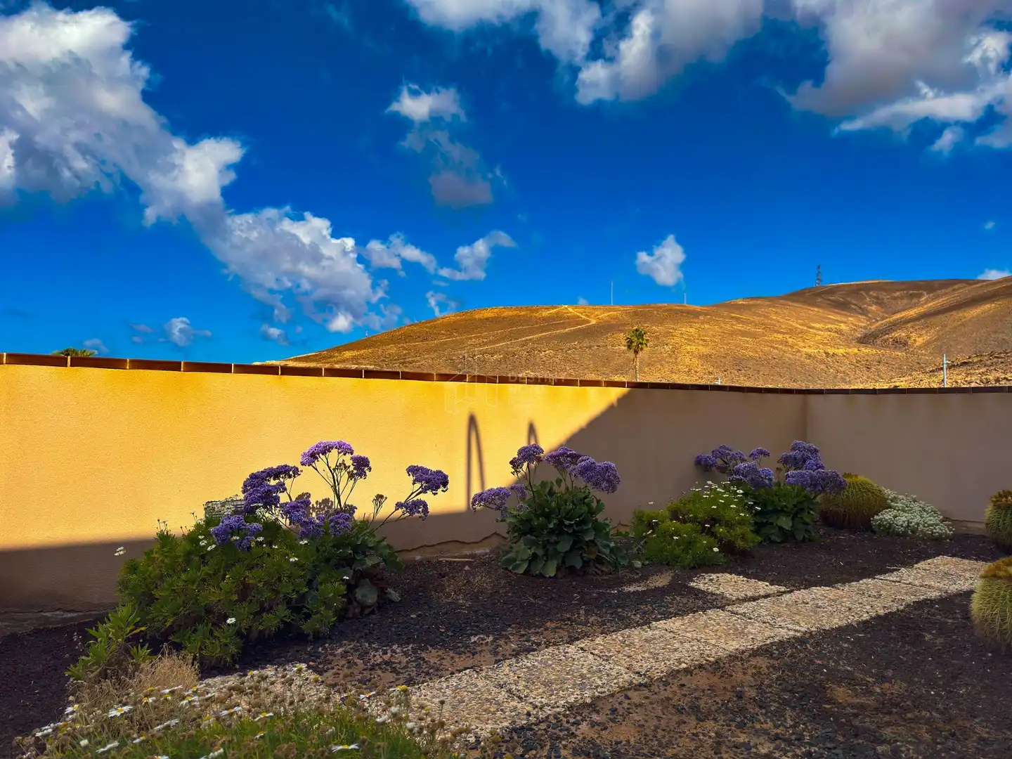 Vista exterior de Casa o xalet en venda en Pájara amb Jardí privat i Moblat