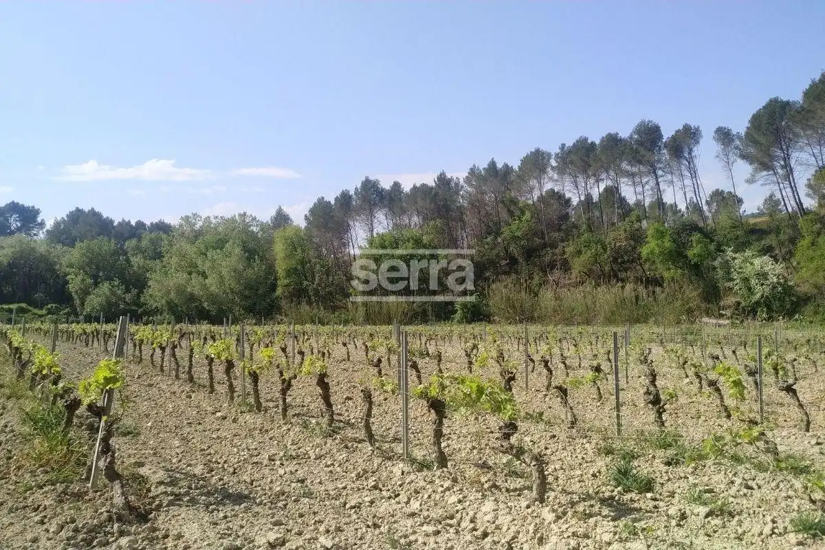 Rustikales Grundstück zum Verkauf in Sant Martí Sarroca, imagen 6