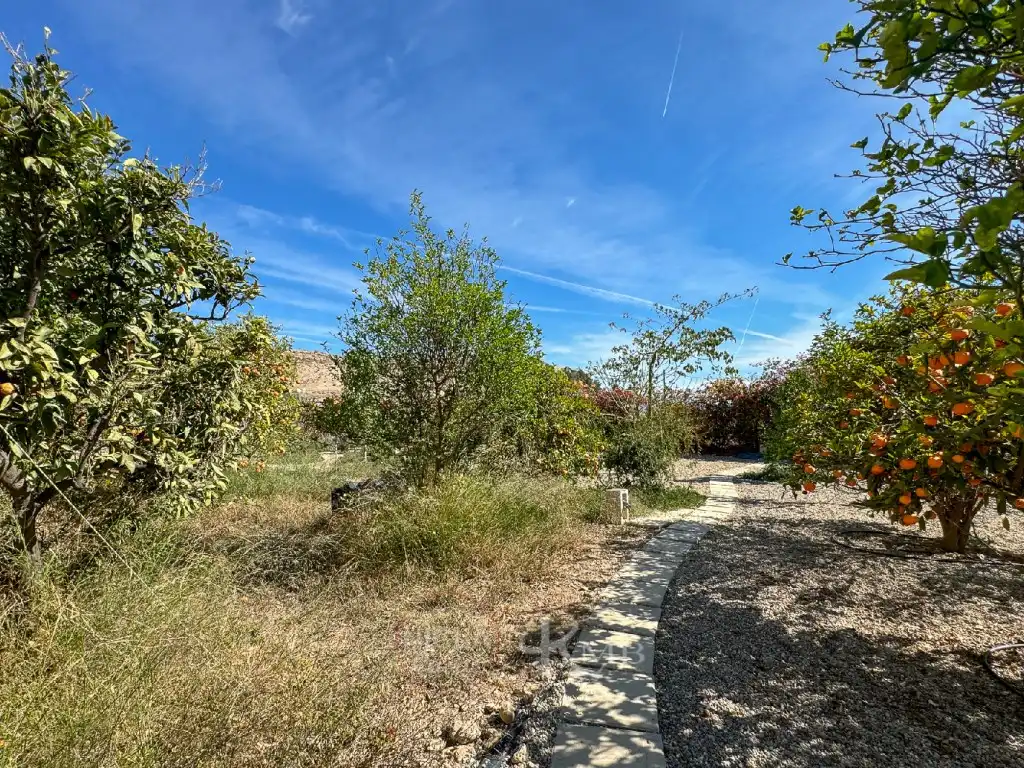 Casa o xalet en venda en Antas amb Jardí privat, Terrassa i Piscina