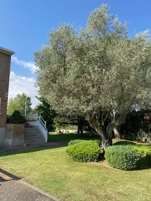 Habitatge amb terrassa en venda a Santa Marta de Tormes, imagen 26