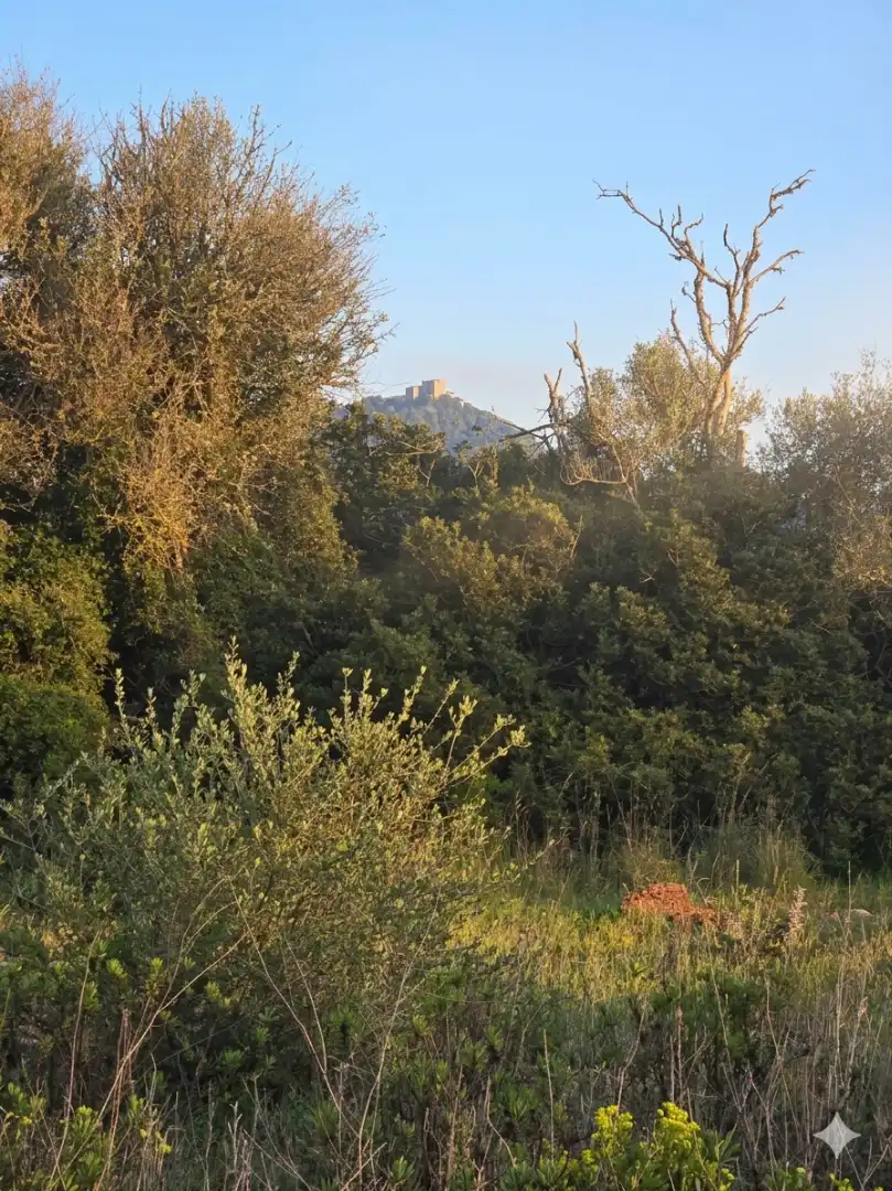 Rural land for sale in Felanitx Poble