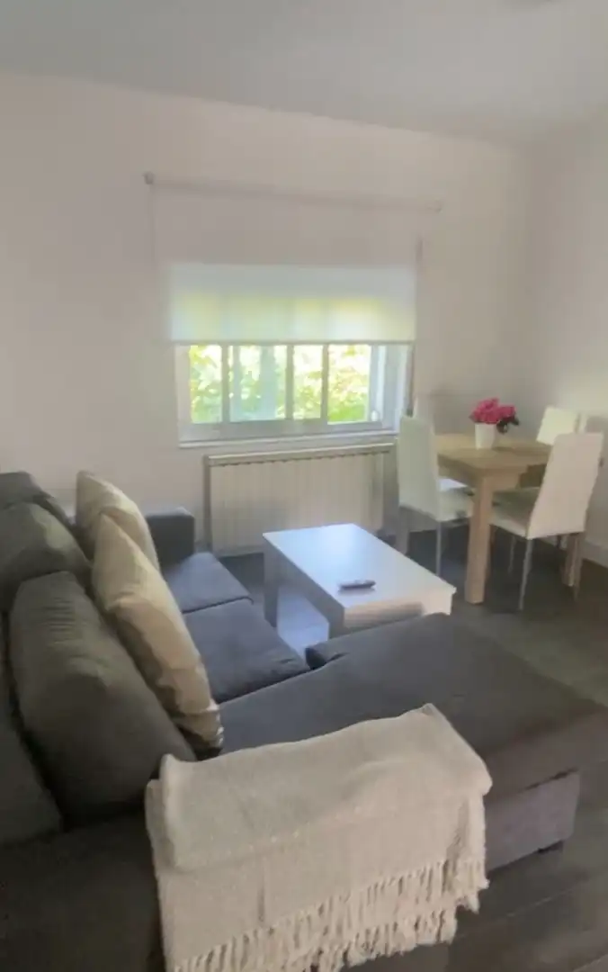 Living room of Flat for rent in Salamanca  with Heating, Parquet flooring and Furnished