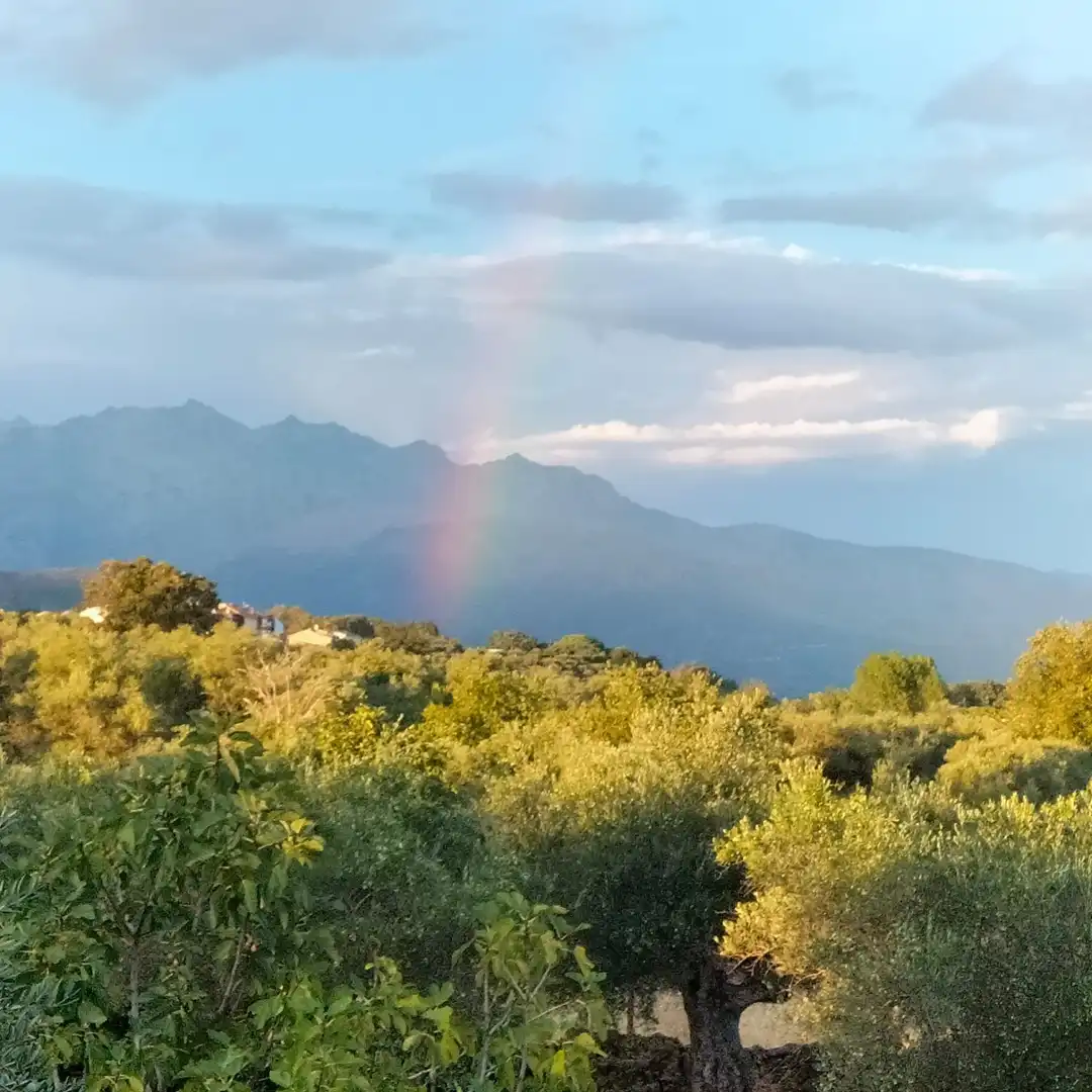 Terreni e lotti in vendita a Villanueva de la Vera, imagen 3