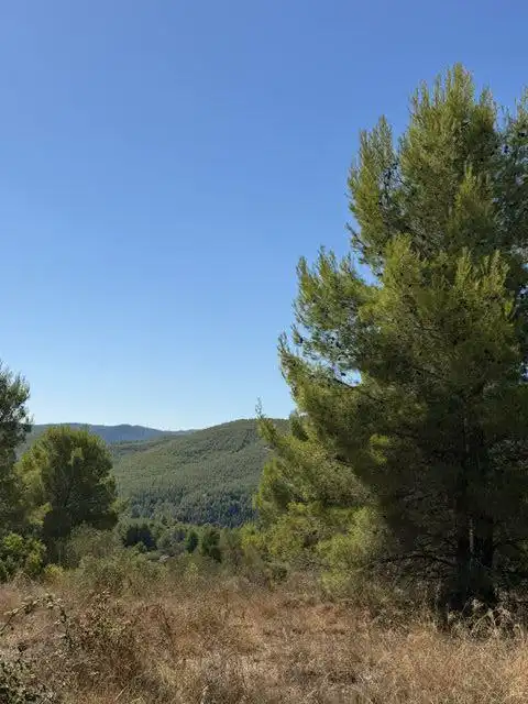 Casa en venda a MENTA   ( PLANA TORRES), imagen 68