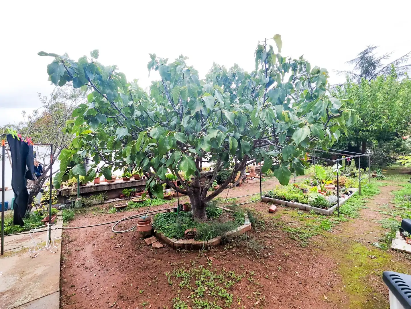 Jardí de Casa o xalet en venda en Puertollano amb Aire condicionat, Calefacció i Jardí privat