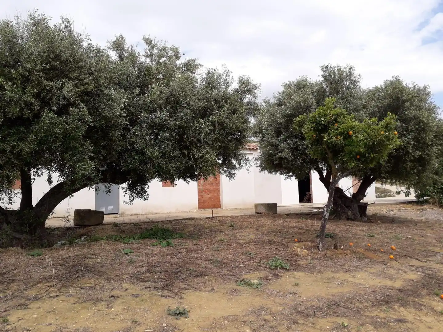 House for sale in Bornos, imagen 15