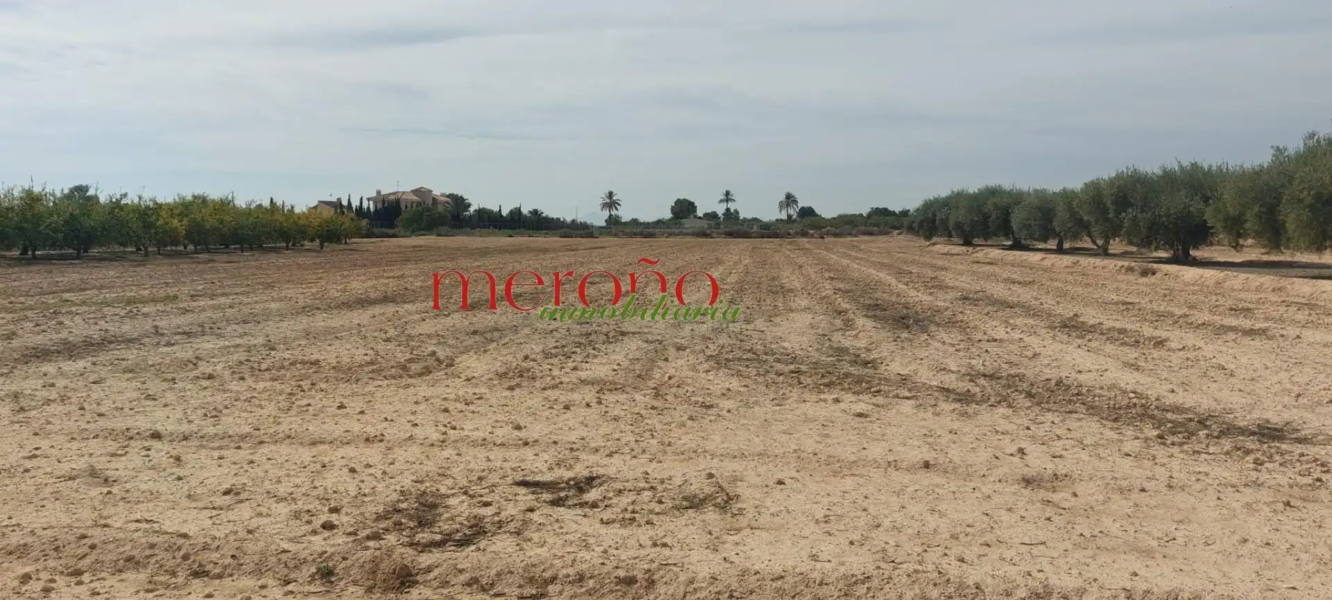 Terreno residencial en venta en Elche ciudad, imagen 3