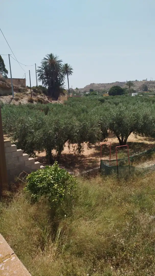 Finca rústica en venta en Pechina