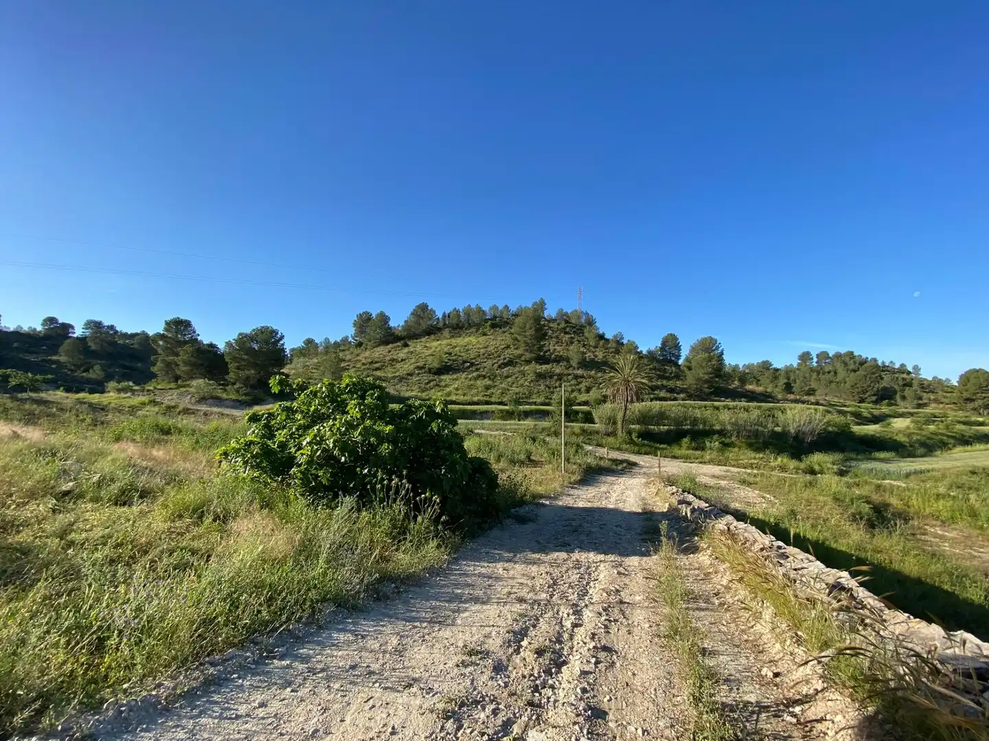 Villa à vendre à Moratalla, imagen 9