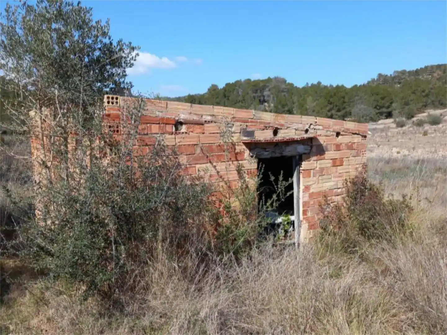 Vista exterior de Terreno en venta en Corbera d'Ebre