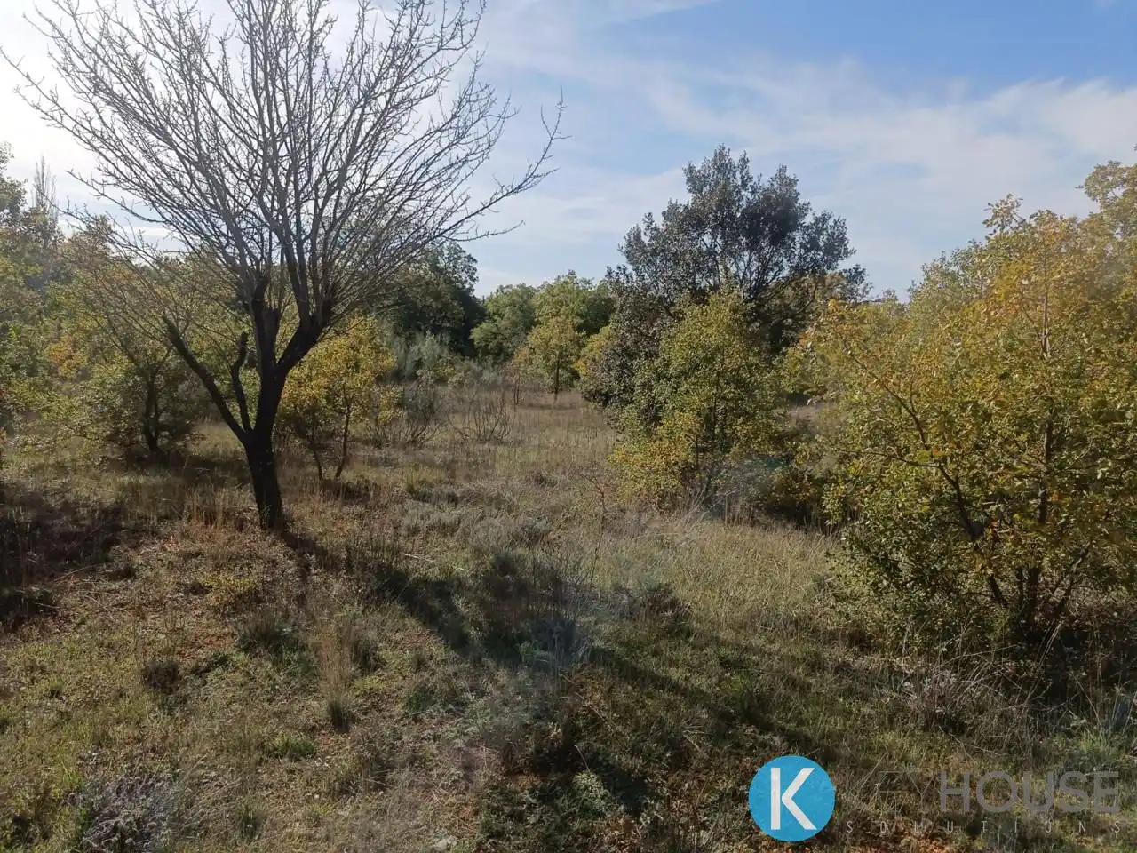 Land for sale in Pastrana